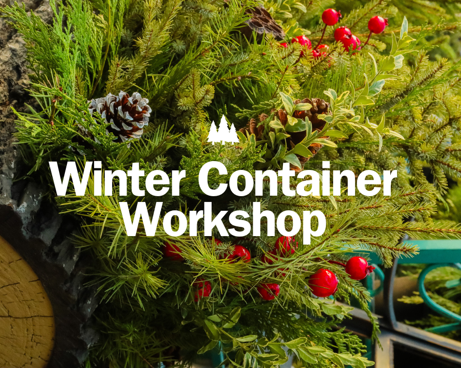 Winter Container Workshop Image