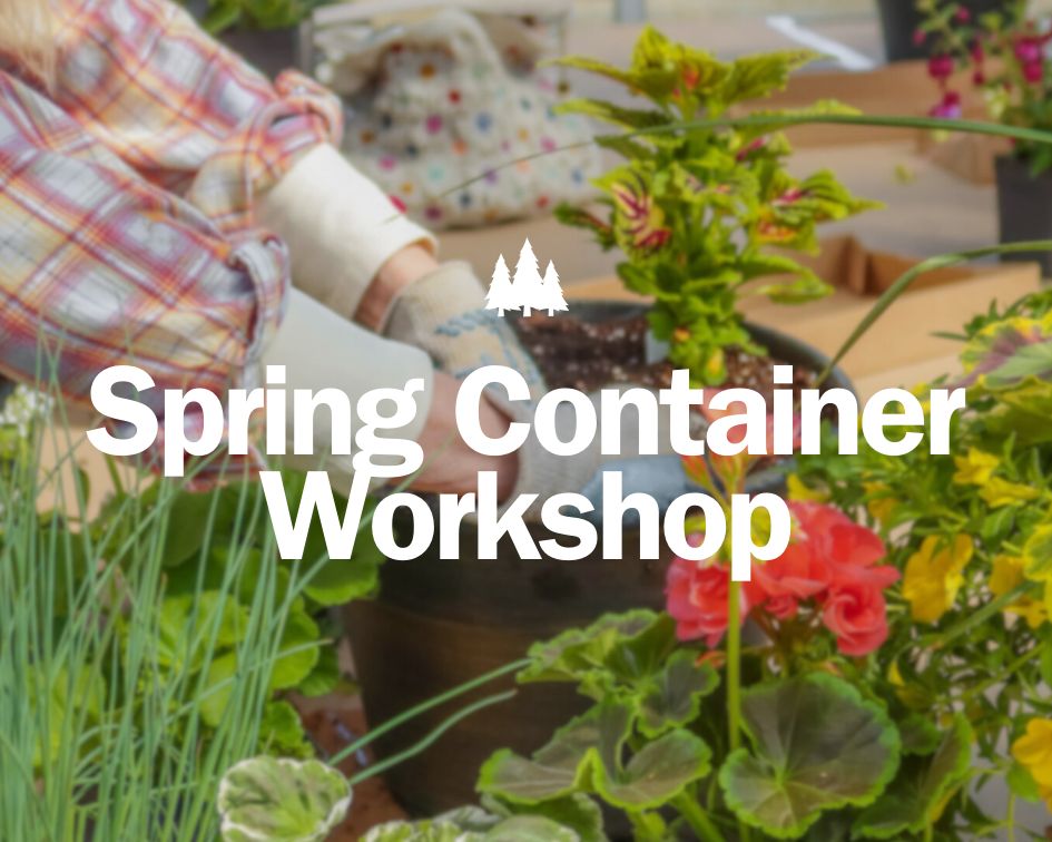 Spring Container Workshop Image