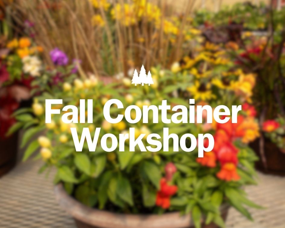 Fall Container Workshop Image