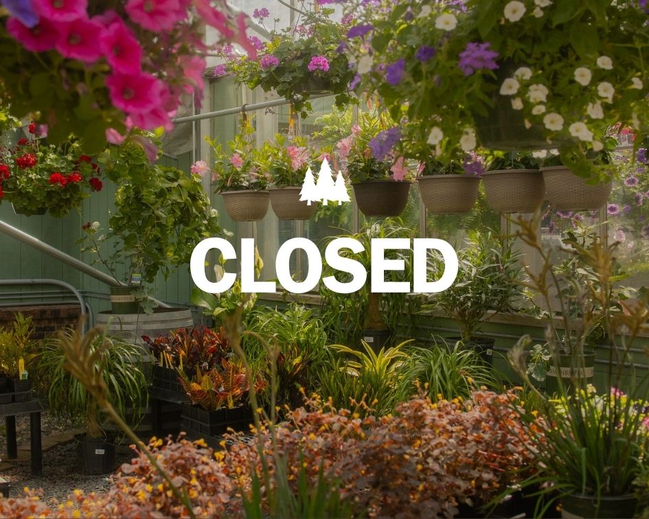 Closing for the Season Image