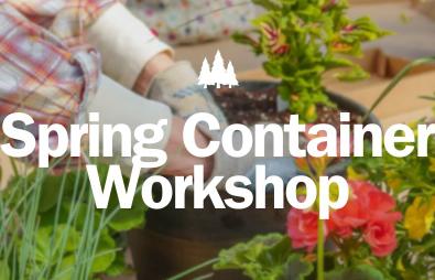 Spring Container Workshop Image