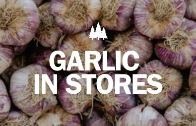 Garlic In Stores Now Image